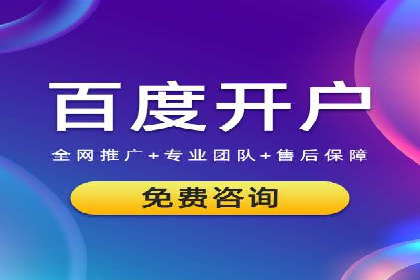 SEM托管服务，成功案例展示转化优势